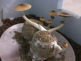 unnamed (21).jpg