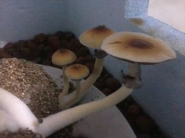 unnamed (22).jpg