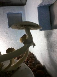 unnamed (23).jpg