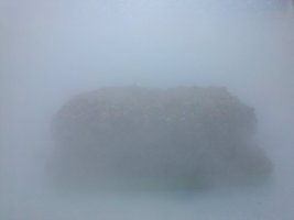 CAM00553.jpg