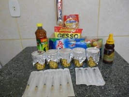 DSCN1988.JPG