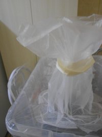 DSCN1999.JPG