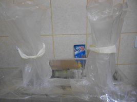 DSCN2000.JPG