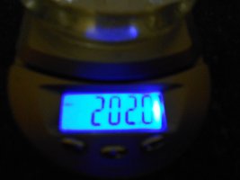 DSCN2008.JPG