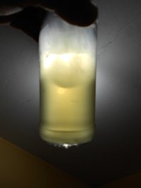 DSCN2013.JPG