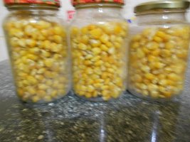 DSCN2015.JPG