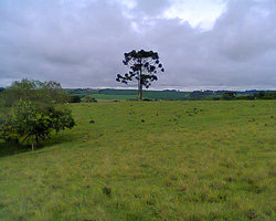 06.jpg