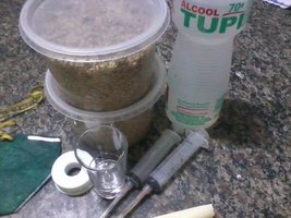 unnamed (15).jpg