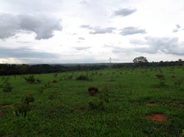 DSCF8898.JPG