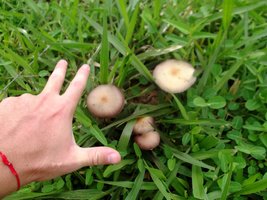 DSCF8889.JPG