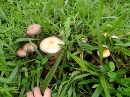 DSCF8891.JPG