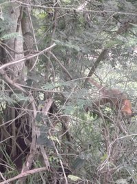 DSCF8894.JPG