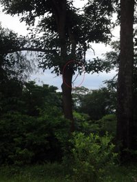 DSCF8895.JPG