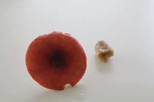 img9109do.jpg