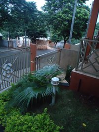 DSC03815.JPG