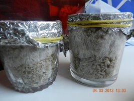 DSCN2281.JPG