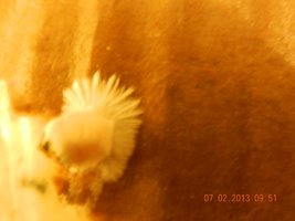 DSCN2263.JPG