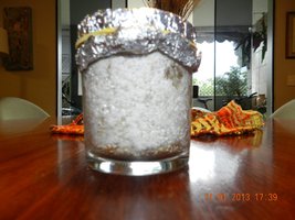 DSCN2245.JPG