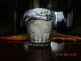 DSCN2243.JPG