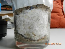 DSCN2252.JPG