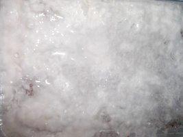 DSCF1098.JPG
