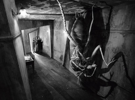 gregor samsa.png