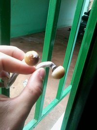 2013-12-17 11.49.10.jpg