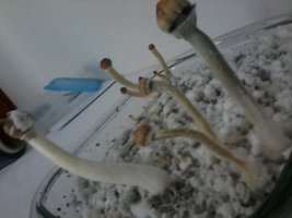 2013-12-21 12.29.12.jpg