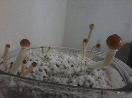 2013-12-21 12.29.22.jpg