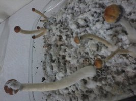2013-12-21 12.30.02.jpg