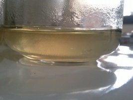 CAM00582.jpg