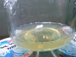 CAM00595.jpg