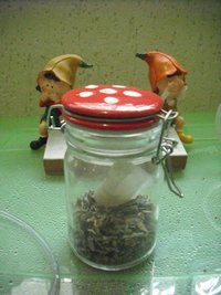 DSCF0019.JPG