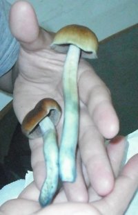 DSCF0171.JPG