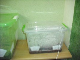 DSCF0104.JPG