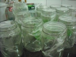 DSCF0238.JPG