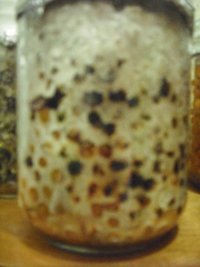 DSCF0057.JPG