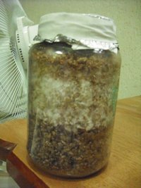 DSCF0071.JPG