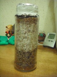 DSCF0073.JPG
