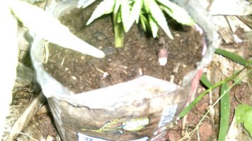 DSCF0756.JPG