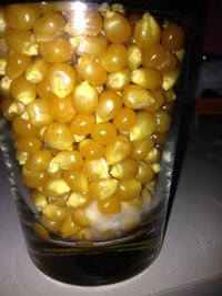 IMG_0851.JPG
