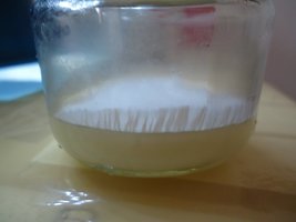 DSC04990 (2).JPG