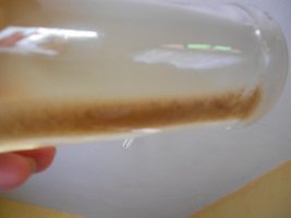 DSCN2095.JPG