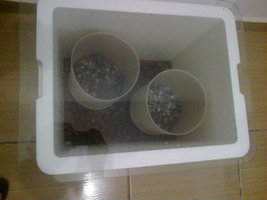2014-01-08-538.jpg