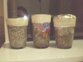 IMG0039A.jpg