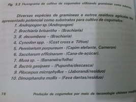 CAM00678.jpg