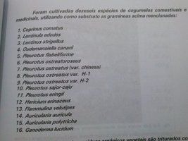CAM00680.jpg