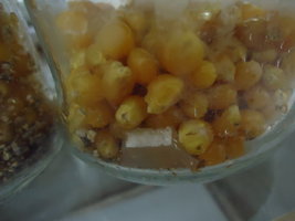 DSC05114.JPG