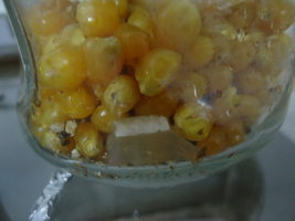 DSC05118.JPG