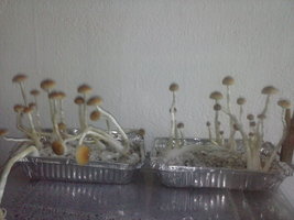 CAM00254.jpg